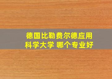 德国比勒费尔德应用科学大学 哪个专业好